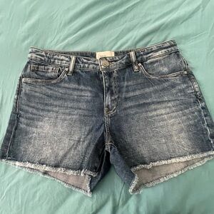 Buckle - BKE Frayed Hem Women’s Shorts